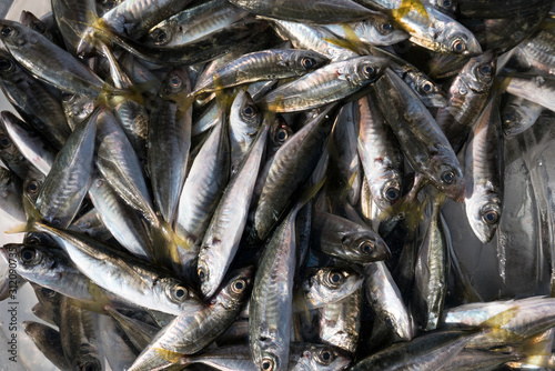 fishmarket in Istanbul