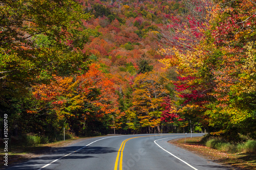 Curve in the road through colorful forest in autumn.