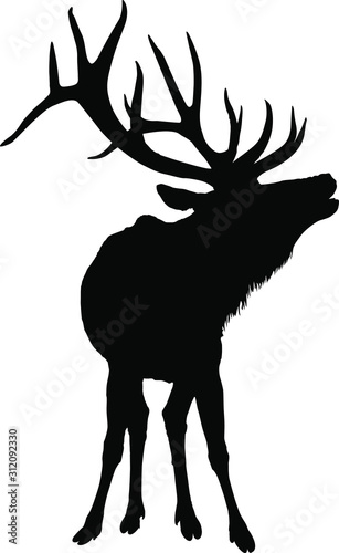 A vector silhouette of a large bull elk bugling.