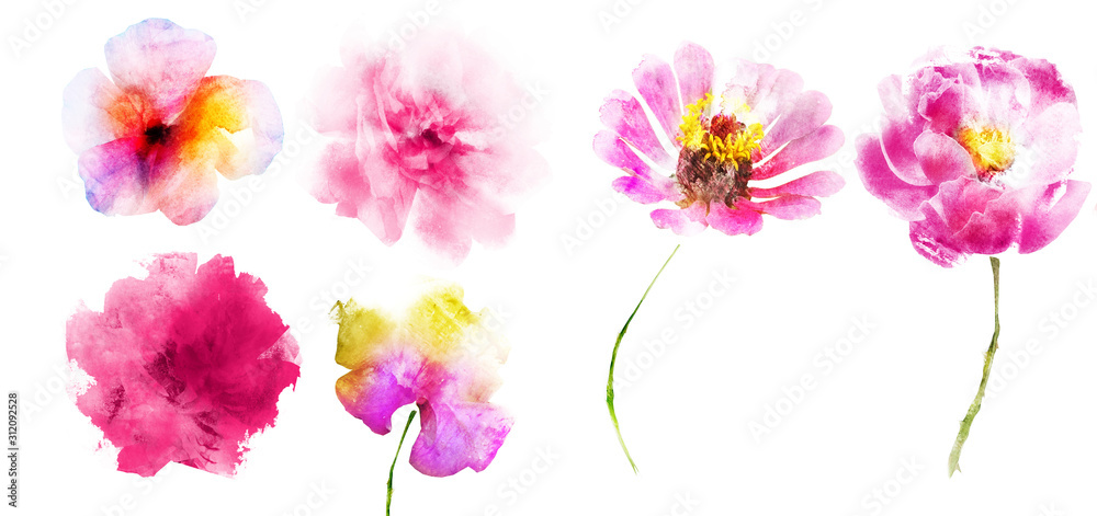 Watercolor flowers , isolated on white background Watercolor flowers , isolated on white background