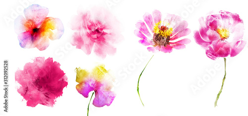 Watercolor flowers , isolated on white background