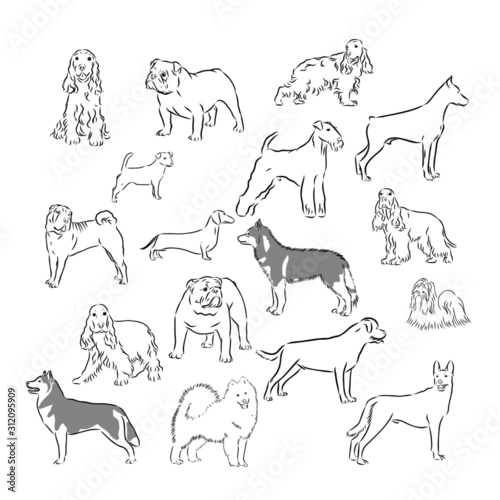 set of silhouettes of dog