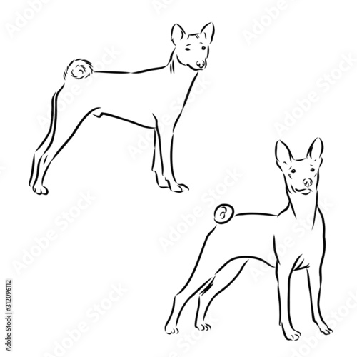 dog sketch vector illustration