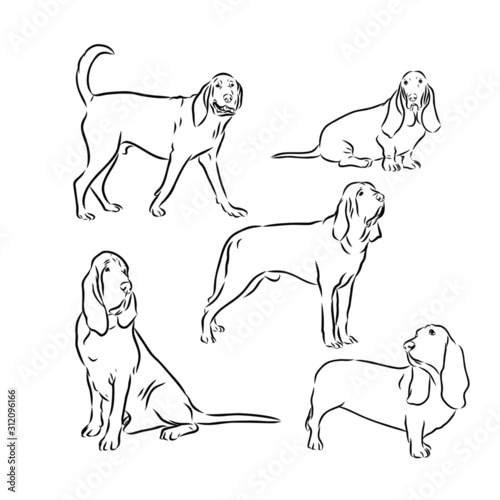 set of dog silhouettes of dogs