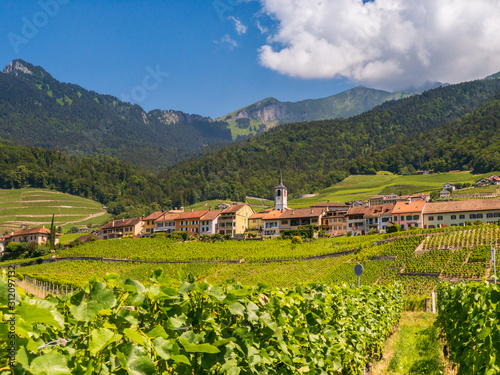 Summer Switzerland valley landscape with vineyards at foreground © Anton Gvozdikov