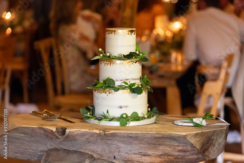Photography semi naked wedding cake