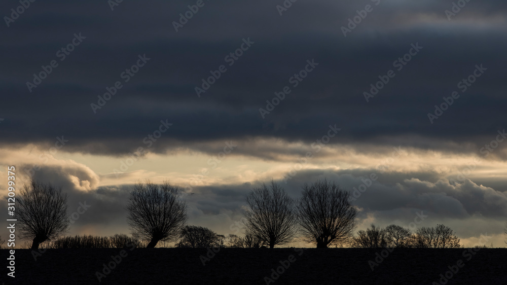 Skåne landscape in December outside Malmö Sweden Skåne landscape in December outside Malmö Sweden