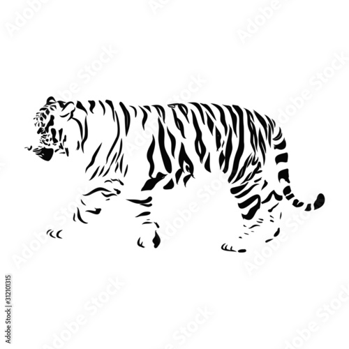 Wallpaper Mural tiger isolated on white background