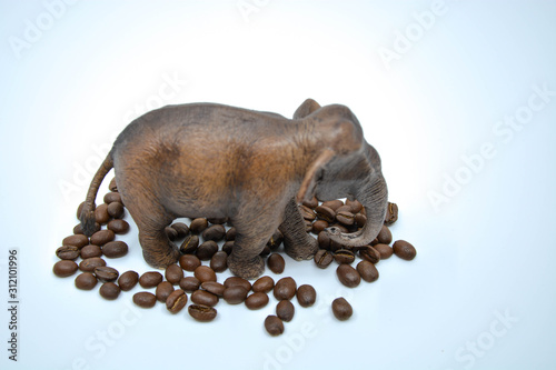 coffee beans and elephant