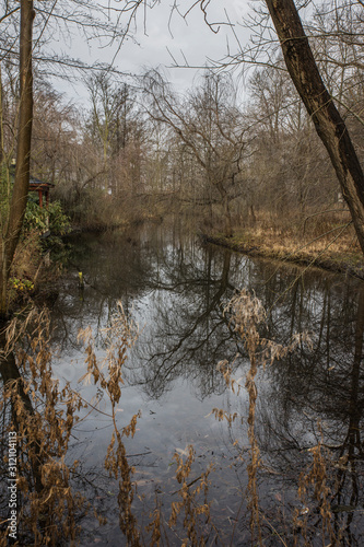 The pond in the park with trees