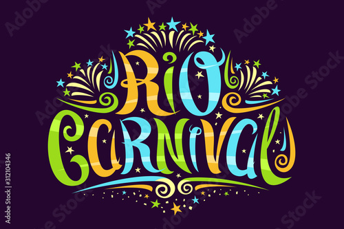 Vector logo for Carnival in Rio de Janeiro, decorative signage with curly calligraphic font, design flourishes and carnival fireworks, banner with brush type for words rio carnival on dark background.