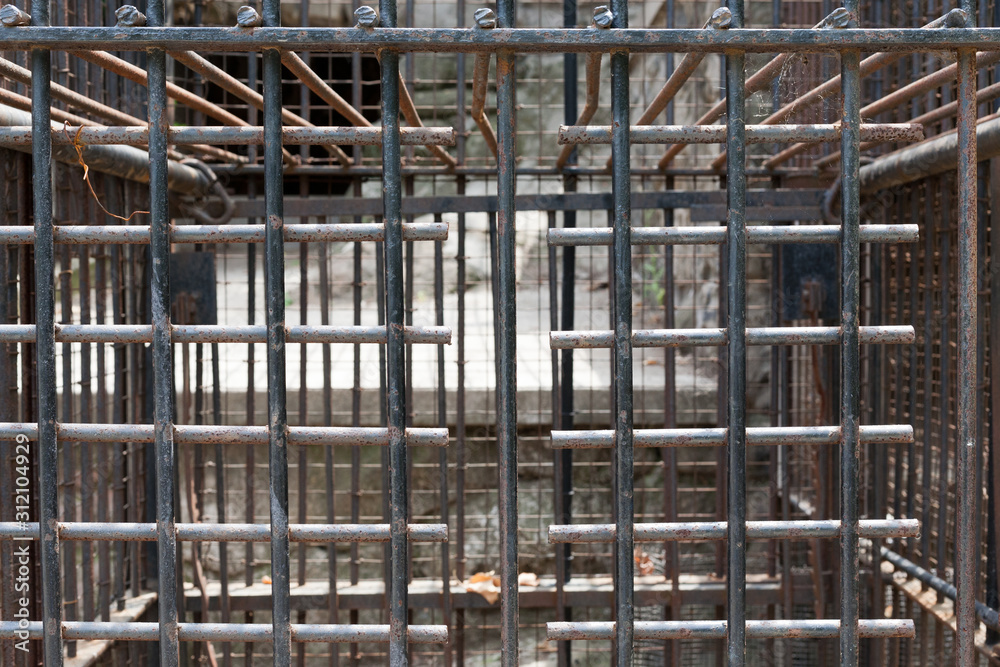 Bars of cage formerly for holding large animals