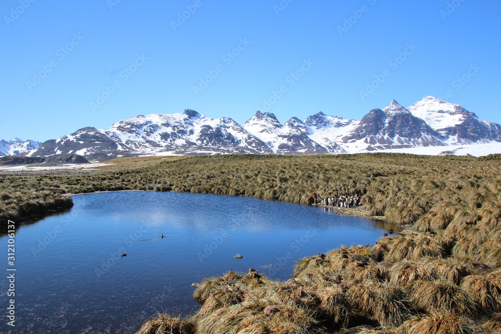 Naklejka premium Südgeorgien Berglandschaft im Sonnenschein - Antarktis Kreuzfahrt