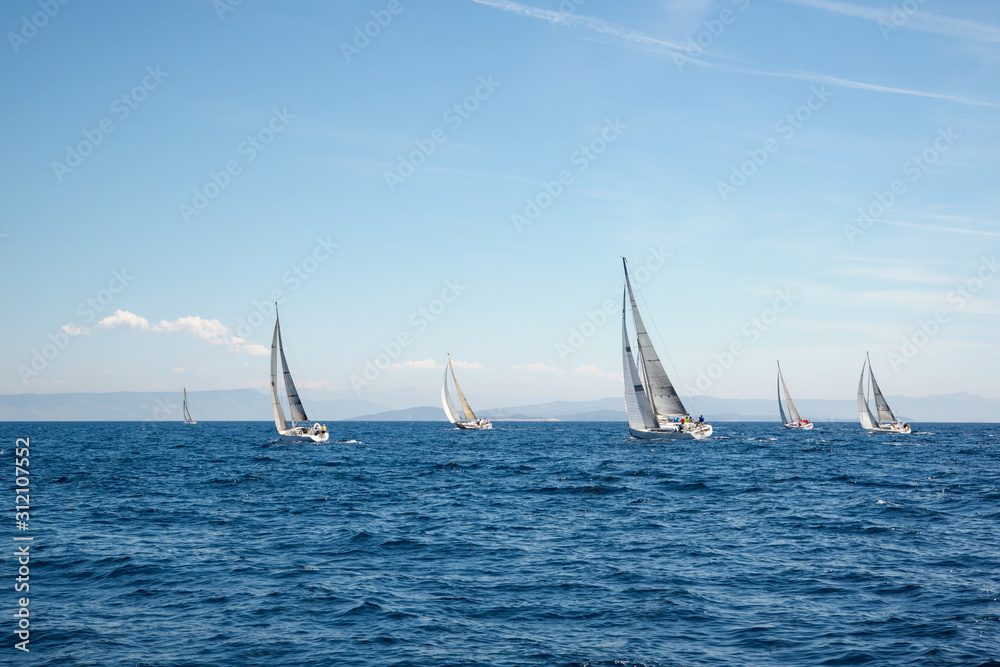 Obraz premium Regatta in the Adriatic sea
