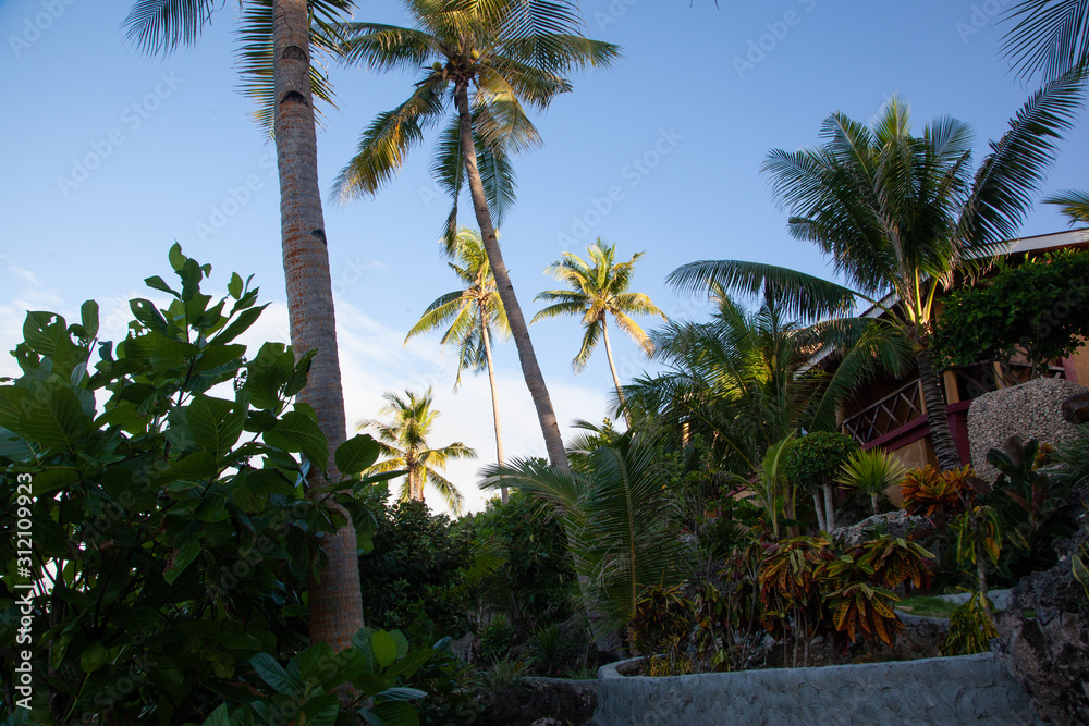 Beautiful seascape with palms on tropical island Beautiful seascape with palms on tropical island