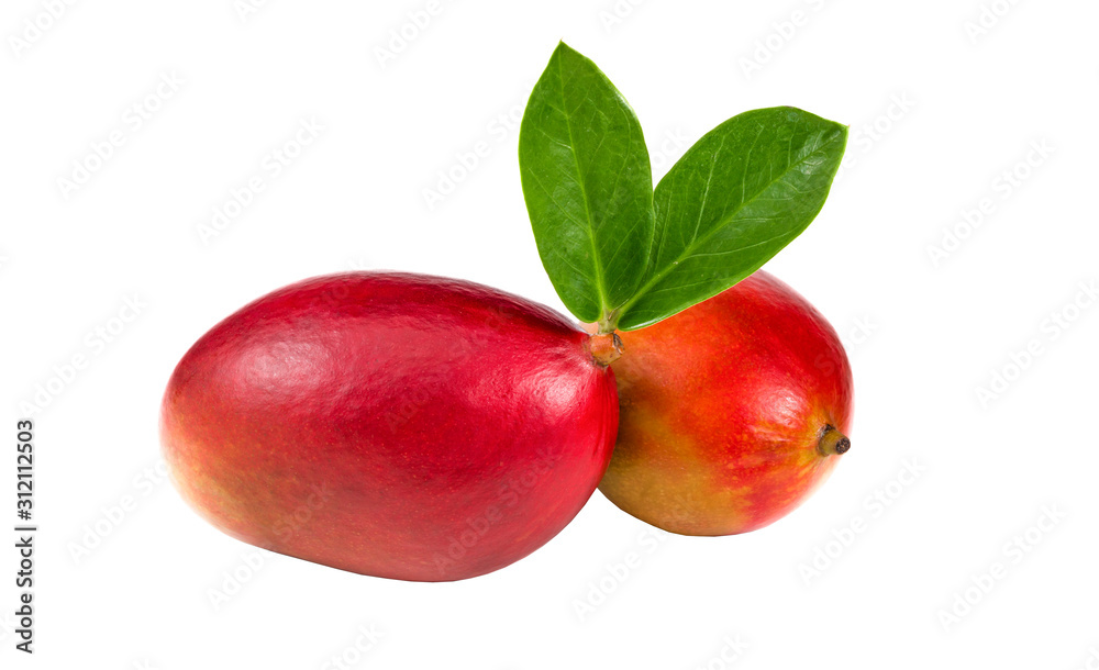 .two mangoes with leaves on a white background .two mangoes with leaves on a white background