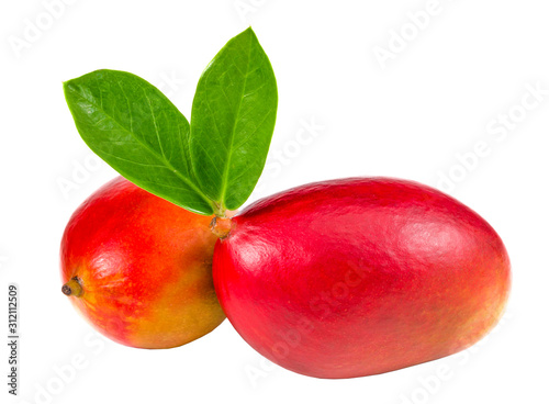 .two mangoes with leaves on a white background