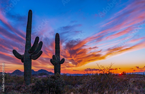 Sunset In The Arizona Desert With Cactus