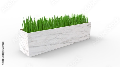 3d rendering of a bucket with grass plant in white studio background photo