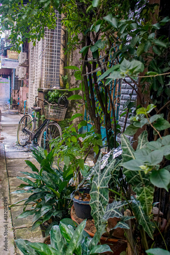 Bicycle and plants on a street in Yangon, Myanmar
