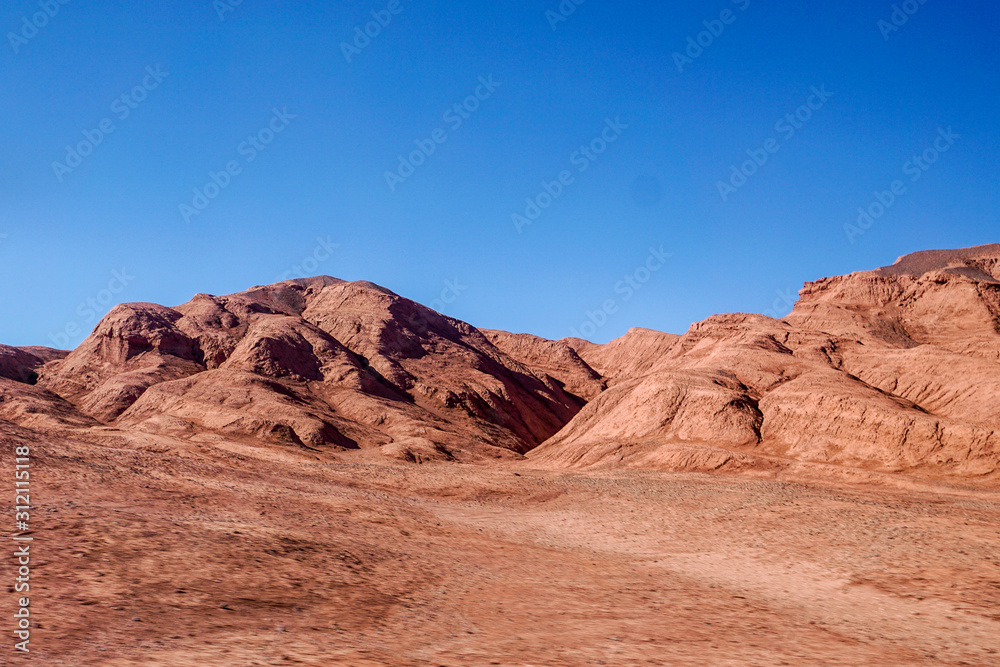 Vicunas in the Labyrinth Desert near Tolar Grande in the high altitude puna desert of Salta in Argentina Vicunas in the Labyrinth Desert near Tolar Grande in the high altitude puna desert of Salta in Argentina
