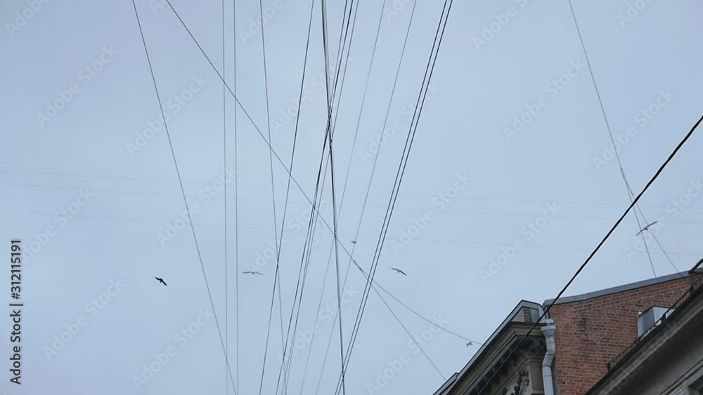 the wires at the top are beautifully intertwined in the city the wires at the top are beautifully intertwined in the city