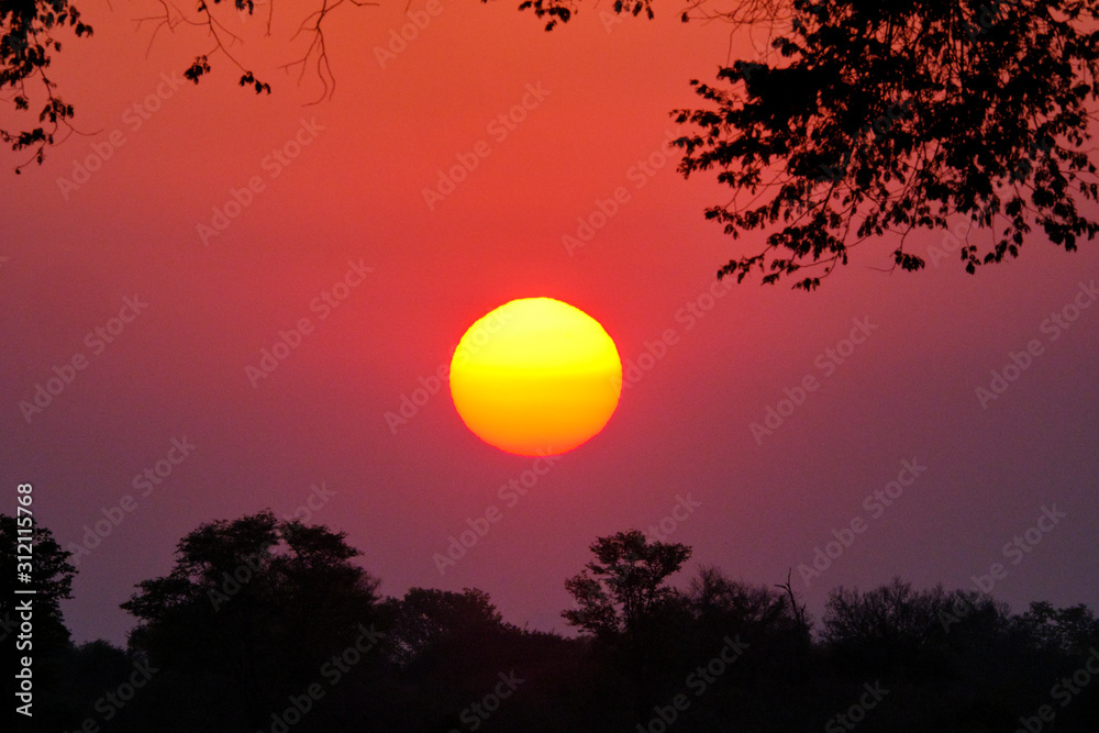 Sunset in Mana Pools National Park, Zimbabwe Sunset in Mana Pools National Park, Zimbabwe
