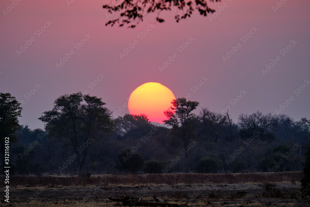 Fototapeta premium Sunset in Mana Pools National Park, Zimbabwe