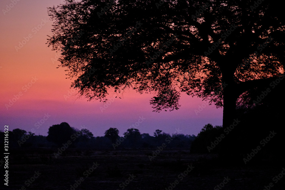 Sunset in Mana Pools National Park, Zimbabwe