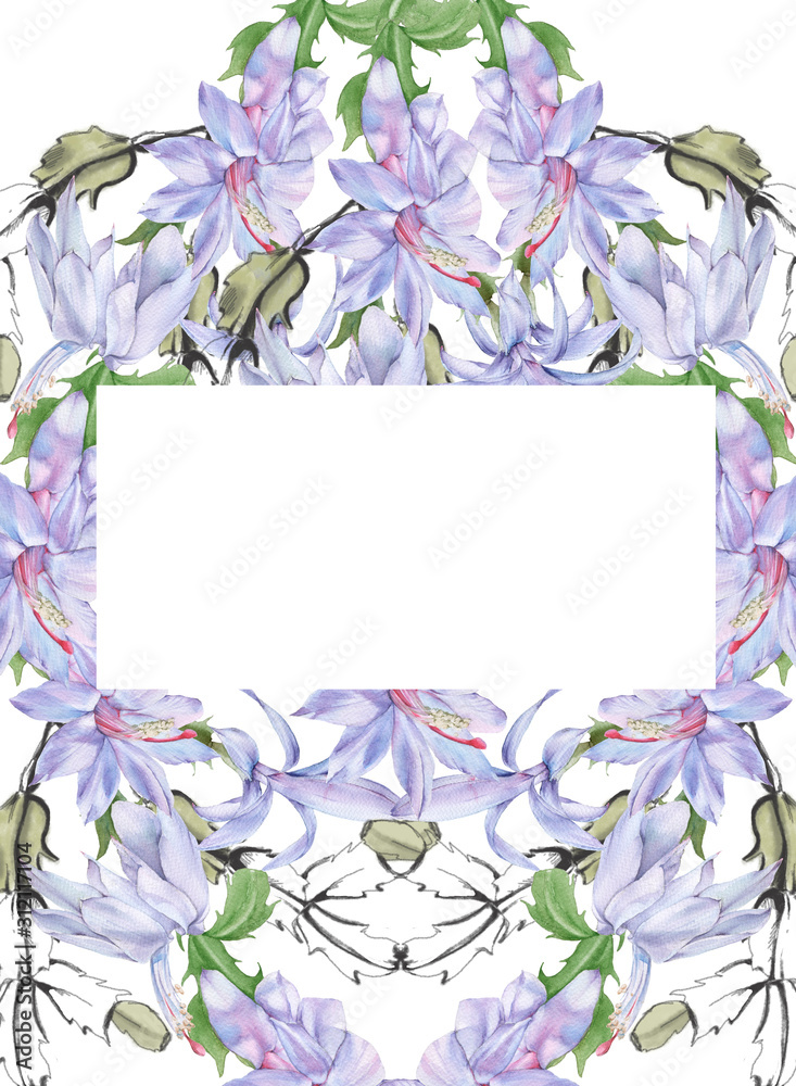 Frame with blooming cactus schlumbergera. Isolated on a white background.