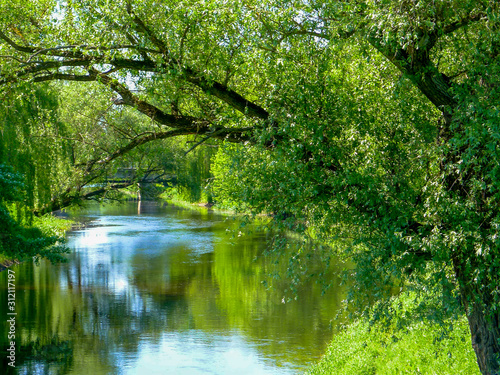 Green forest surrounds the Mukhavets River in Brest, Belarus
