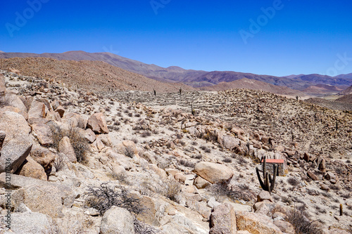 Rocky slopes and giant cacti among the ruins at Santa Rosa de Tastil near Salta in Argentina photo