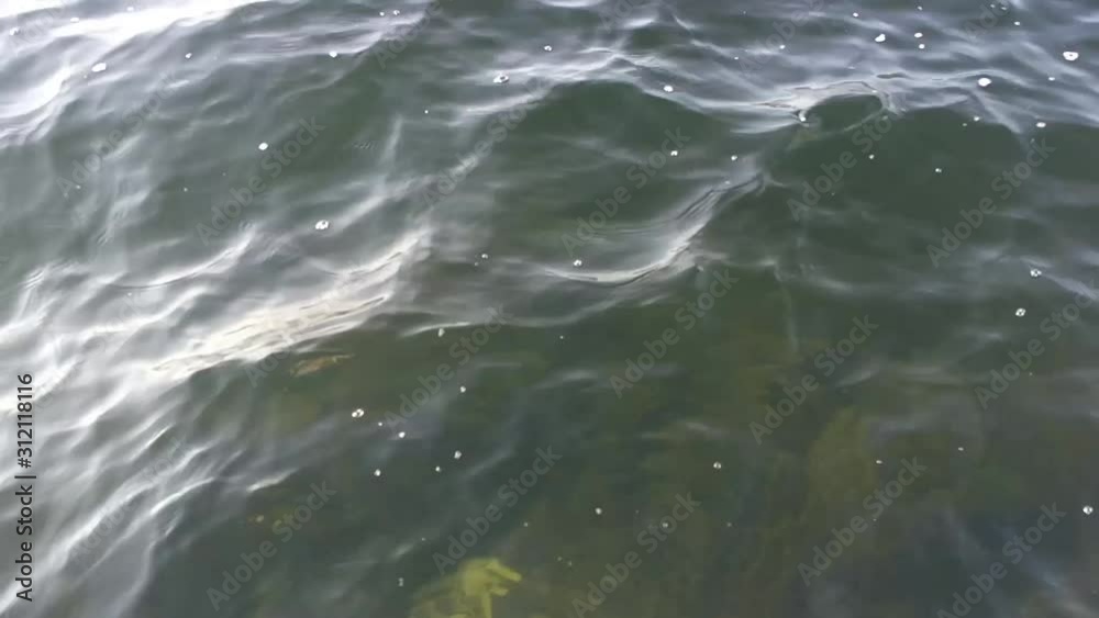 rippling lake surface rippling lake surface