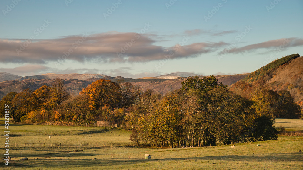 Stunning vibrant Autumn Fall landscape of countryside in Lake District with lovely golden light on trees and hills