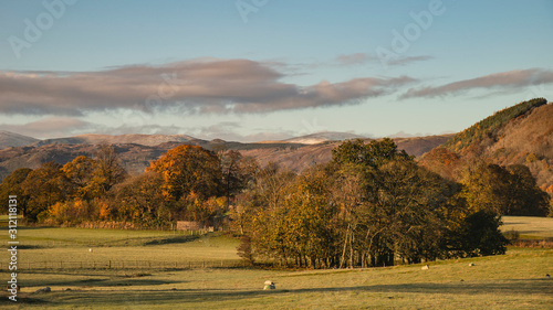 Fototapeta Naklejka Na Ścianę i Meble -  Stunning vibrant Autumn Fall landscape of countryside in Lake District with lovely golden light on trees and hills