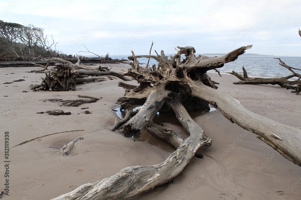 Boneyard Beach, Florida