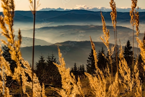 Fototapeta Naklejka Na Ścianę i Meble -  Golden Hour in the Mountains – Breathtaking Misty Valleys and Sunlit Hills