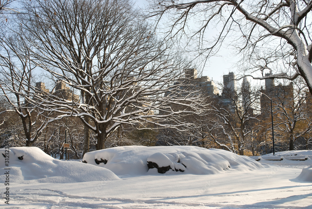 City Snow Central Park City Snow Central Park