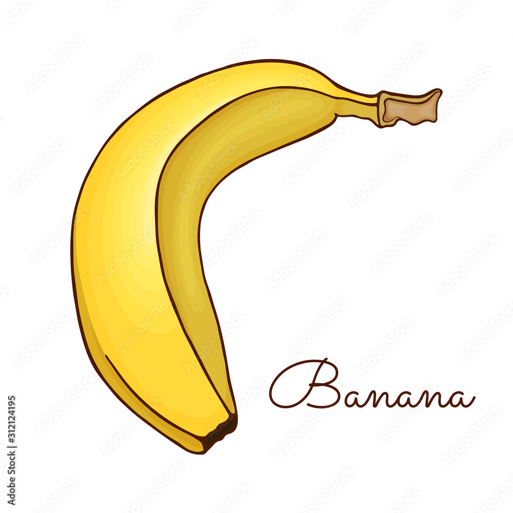 Ripe Yellow Banana Fruits A Whole Fruit And A Half Hand Drawn In Sketch  Style Bright And Colorful Tropical Fruit Cartoon Vector Illustration  Isolated On White Stock Illustration - Download Image Now -