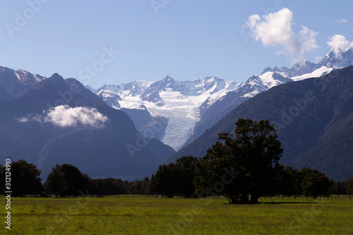 Farming and Harvest in New Zealand. Late afternoon. Fox Glacier New Zealand.