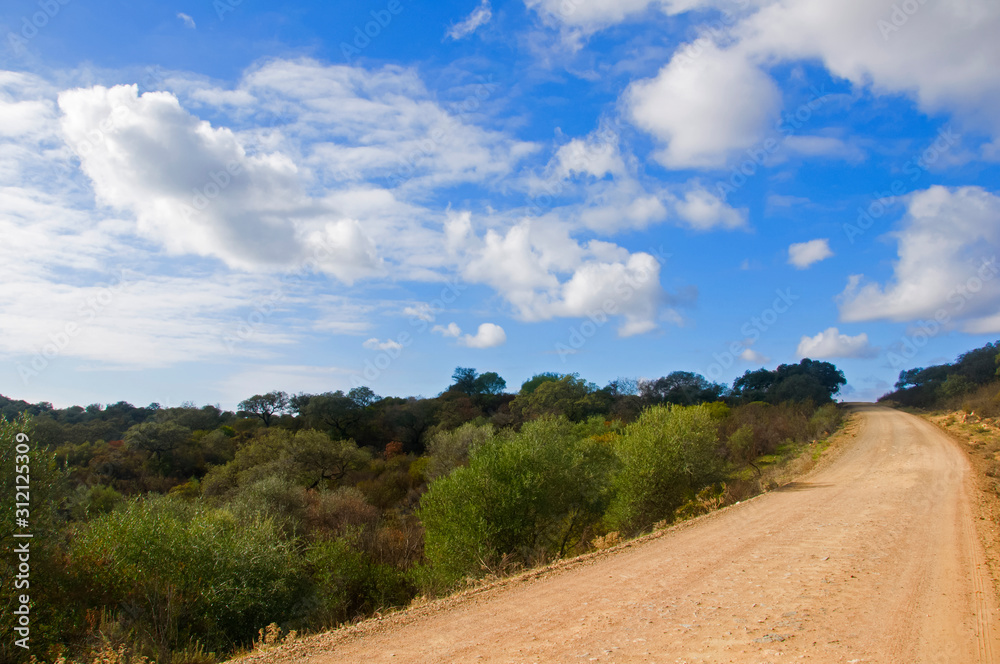 Side view of yellow dirt country road. Blue sky with white clouds, green trees and bushes,sunny day in Seville, Spain