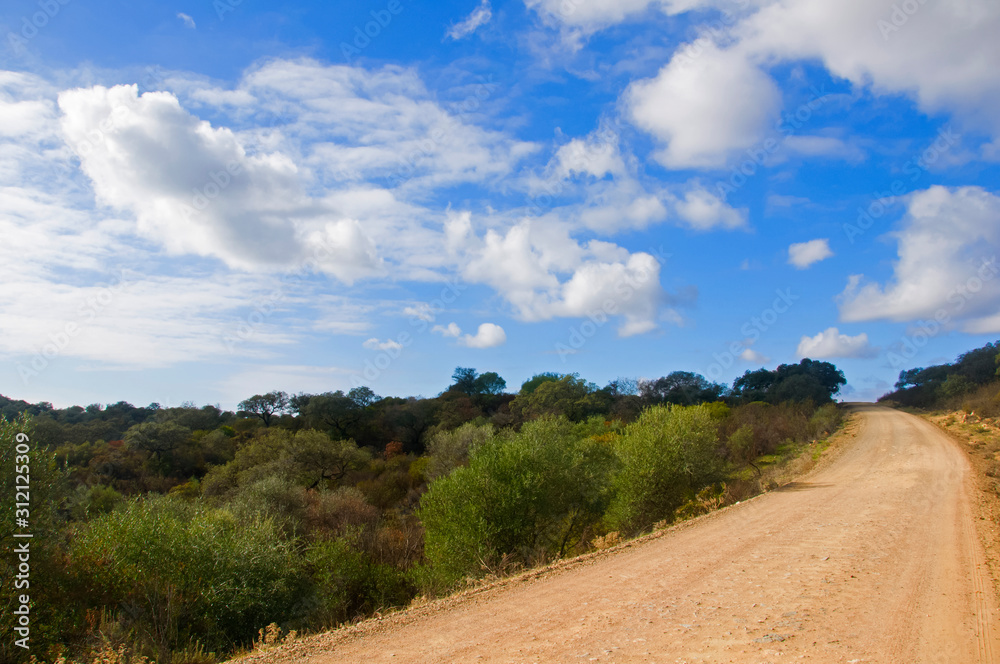 Side view of yellow dirt country road. Blue sky with white clouds, green trees and bushes,sunny day in Seville, Spain Side view of yellow dirt country road. Blue sky with white clouds, green trees and bushes,sunny day in Seville, Spain