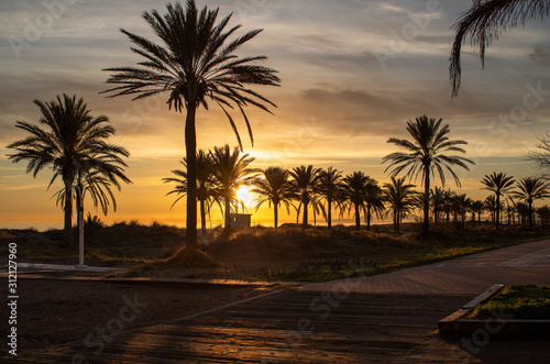 Beautiful landscape at sun rise time with palm trees in the coast and with the beach behind