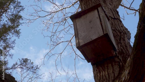 Bat Box atop a Tree in Day Time