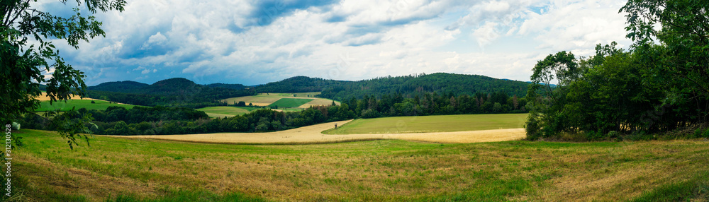 Panorama shows meadows and Forest