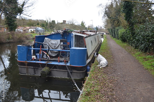 dog next to house boat England