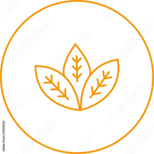 Unique Spearmint Vector Line Icon
