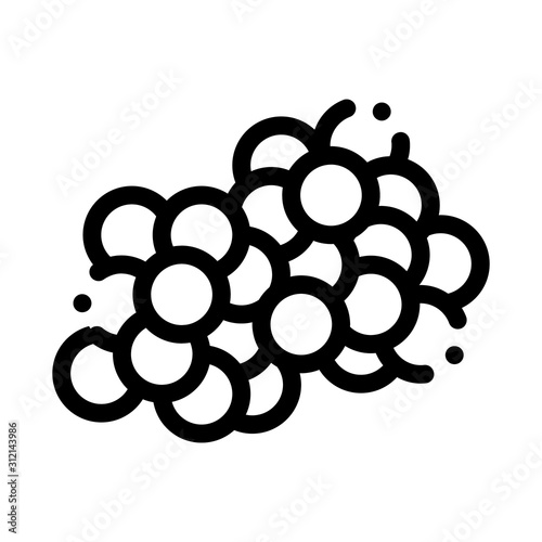 Fresh Caviar Eggs Icon Vector. Outline Fresh Caviar Eggs Sign. Isolated Contour Symbol Illustration
