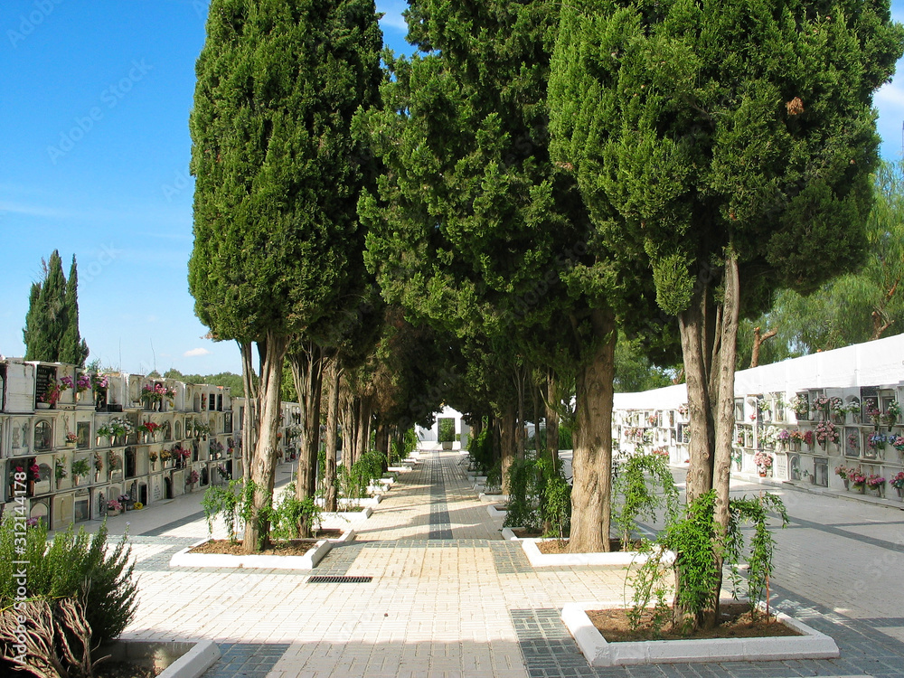 Mediterranean cemetery with thuyas (Thuja occidentalis), a typical Spanish graveyard.