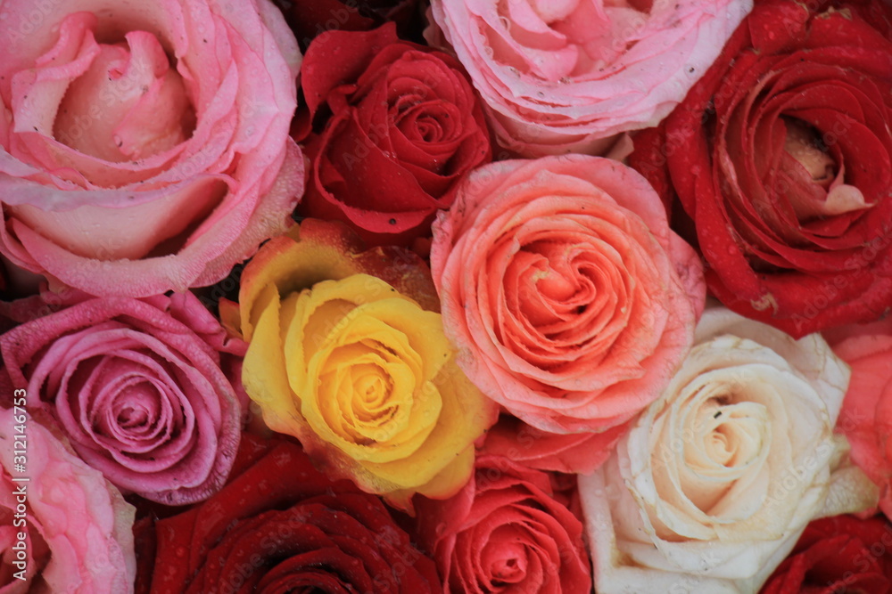 Fototapeta premium Mixed wedding roses
